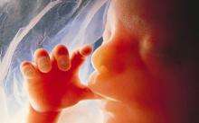 Tauranga abortion clinic keeps licence