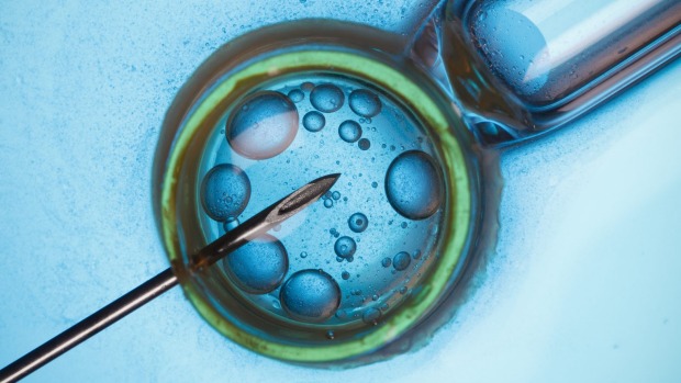 What should happen to a couple’s embryos after they split up?