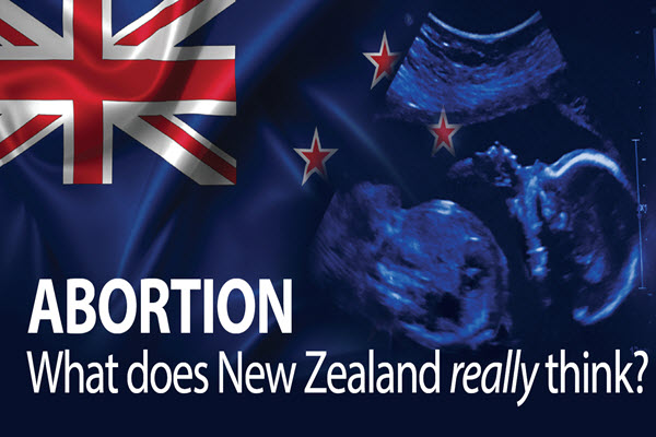 Minimal Support For Removing Abortion From Crimes Act