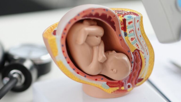 WHO estimates about 73 million abortions occur